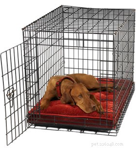 Expert Guide to Crate Training Your Puppy or Dog