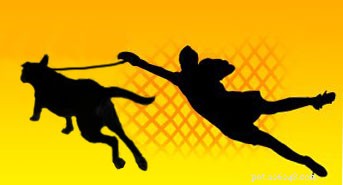 How to Stop Your Dog from Pulling on the Leash: A Proven Guide
