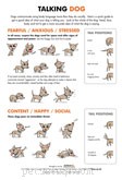 Speak Your Dog’s Language: Free Expert Poster on Canine Body Language