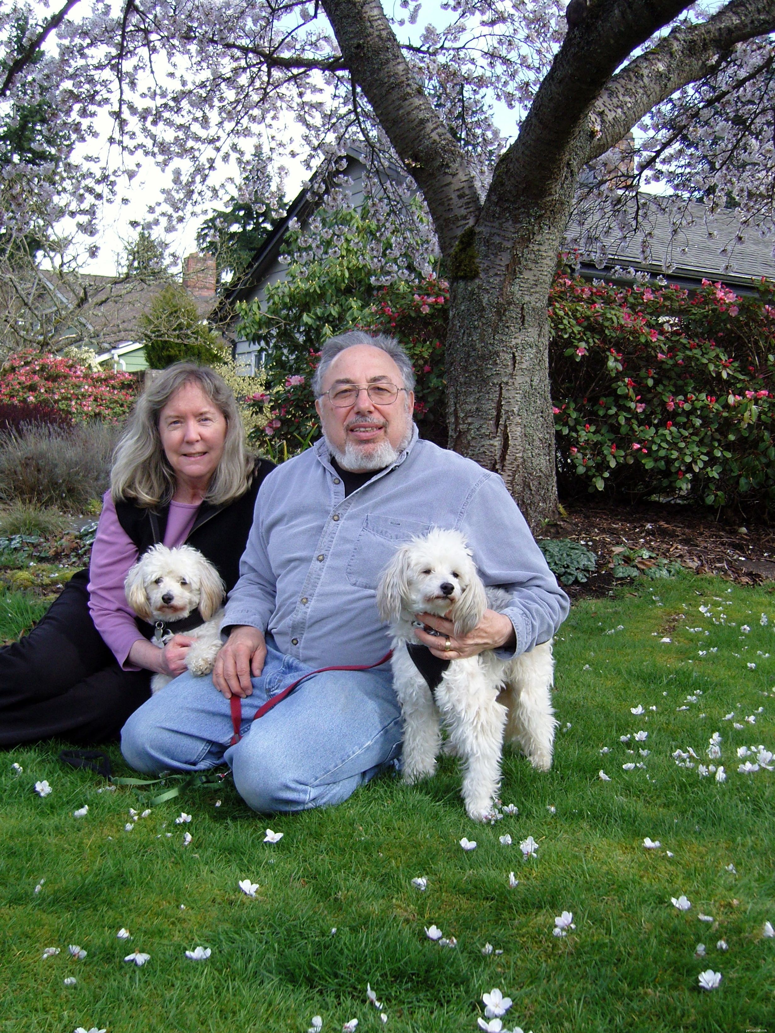How to Calm Shy Dogs Who Fear Visitors – Expert Tips for New Pet Owners