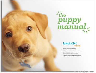 Free Puppy Care Guide for New Parents