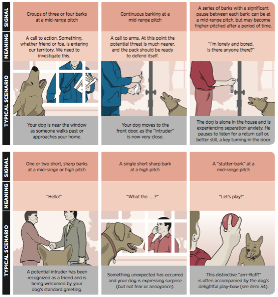 Decode Your Dog’s Voice: Mastering Canine Communication