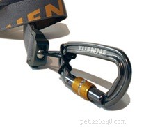 Top 5 Dog Leash Essentials: Safety, Comfort, and Confidence for You and Your Pet