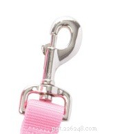 Top 5 Dog Leash Essentials: Safety, Comfort, and Confidence for You and Your Pet