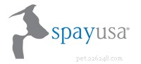 Optimal Timing for Spaying or Neutering Your Pet: A Comprehensive Guide