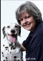 Proven Ways to Keep Your Senior Dog Healthy and Happy
