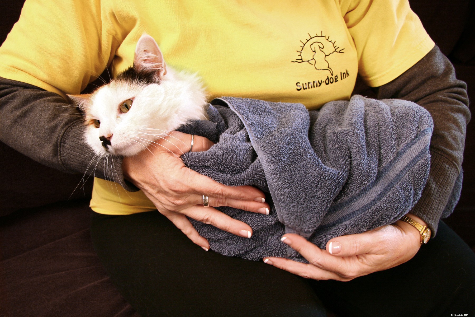 Pet First Aid: Immediate Steps for Bites, Stings, and Unexpected Injuries