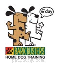 Keep Your Dog Active Indoors: Fun Games for Exercise & Bonding