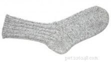 Sock Chew Toy: A Simple, Free DIY to Keep Your Dog Engaged and Happy