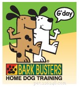 Designing a Safe & Stimulating Dog-Friendly Backyard