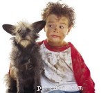 Top Dog Breeds That Thrive With Children