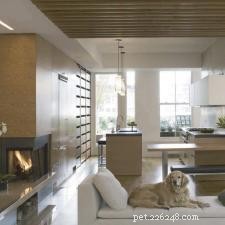 How to Quickly Remove Pet Stains from Furniture: Simple, Effective Tips