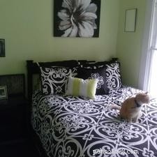 How to Quickly Remove Pet Stains from Furniture: Simple, Effective Tips