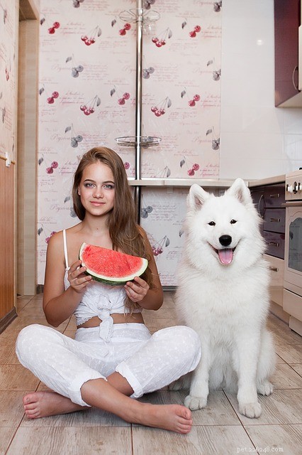 Can Dogs Safely Eat Watermelon? Here’s What You Need to Know