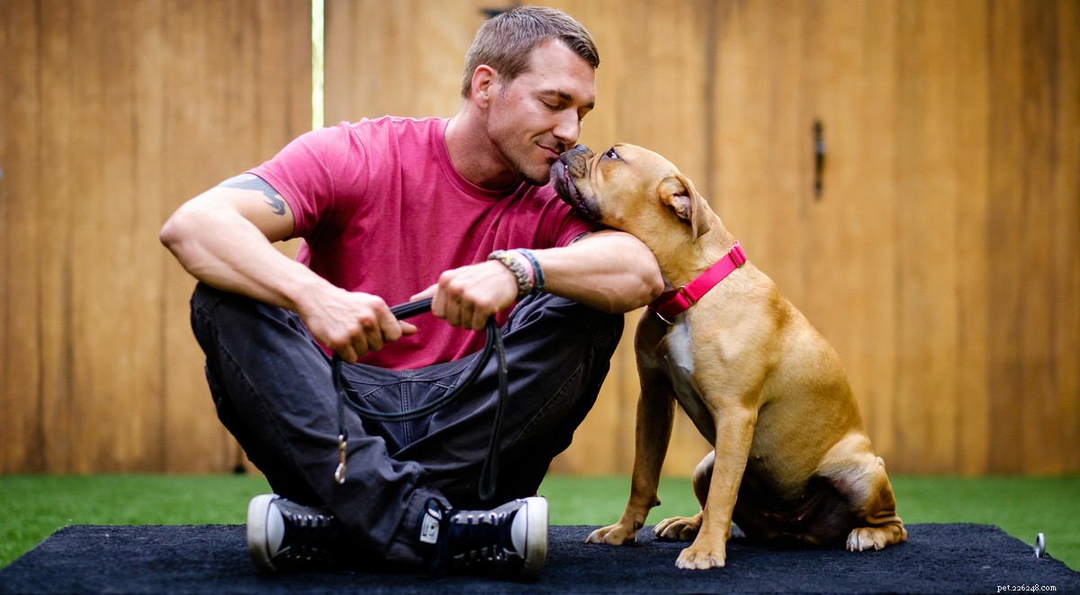 Lucky Dog with Brandon McMillan: Inside an Emmy‑Nominated Rescue & Training Show