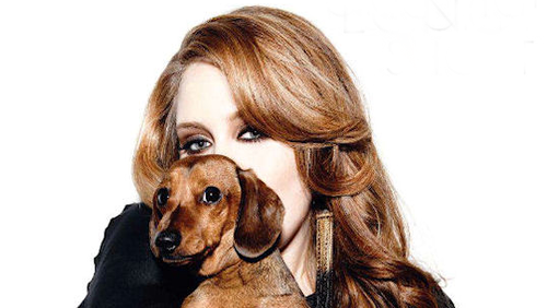 Adele s Heartfelt Bond with Her Dogs Louie & Atilla