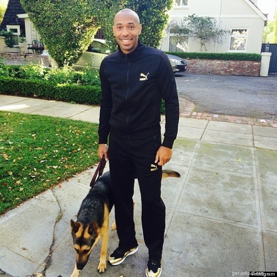Unveiling Thierry Henry’s Surprising Story Behind the Dog in the Picture