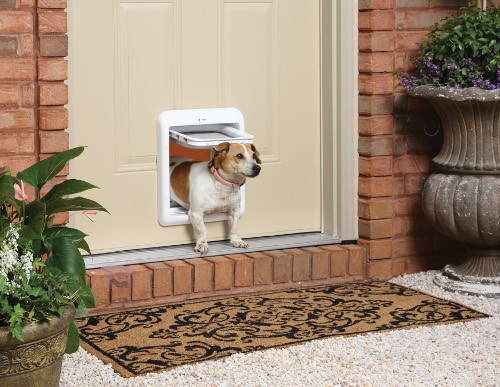 The Ultimate Guide to Choosing and Installing the Perfect Dog Door