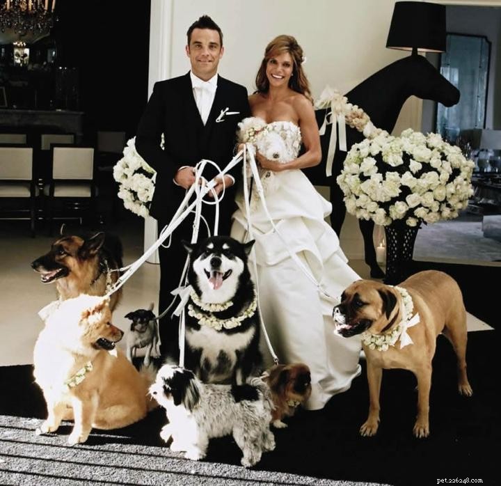Robbie Williams Reflects on the Loss of His Beloved Dog, Spencer