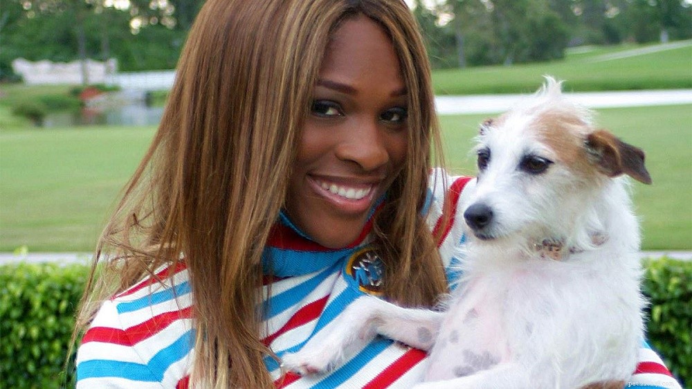Serena Williams: How Her Love for Dogs Shapes Her Journey