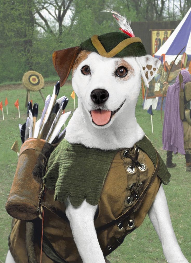 Wishbone: The Little Dog with a Big Imagination – A Classic PBS Kids Series