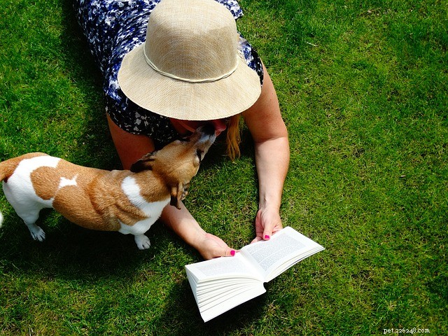 Why Does My Dog Follow Me Everywhere? 5 Key Reasons Explained