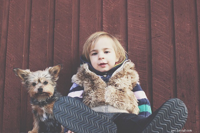 Outdoor Fun: The Proven Benefits of Dogs and Children Together