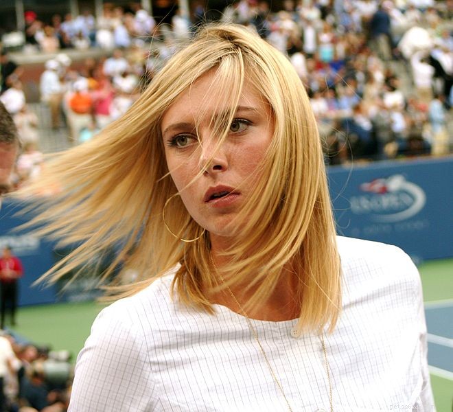 Maria Sharapova’s Pomeranian Dolce: A Look at the Tennis Star’s Love for Dogs