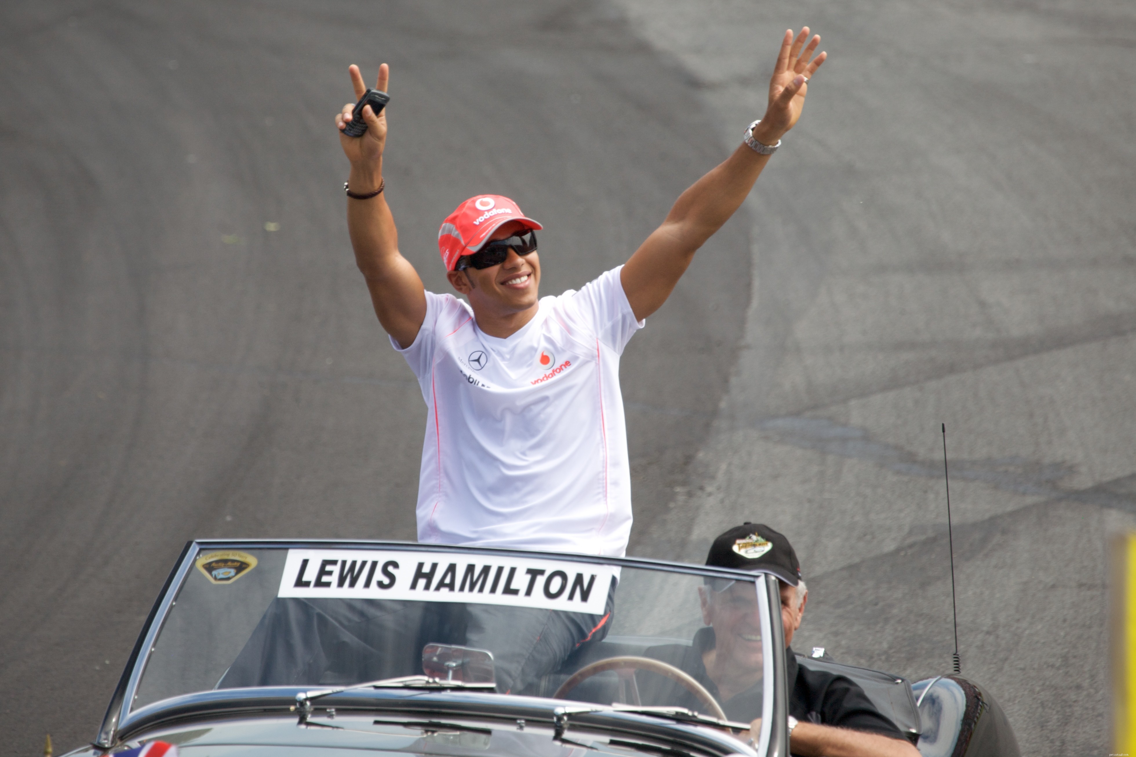 Lewis Hamilton’s Bulldog Love: How His Pets Earn a Fortune on Social Media