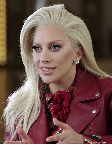Lady Gaga s Enduring Love for Pets: A Look Inside Her Furry Companions