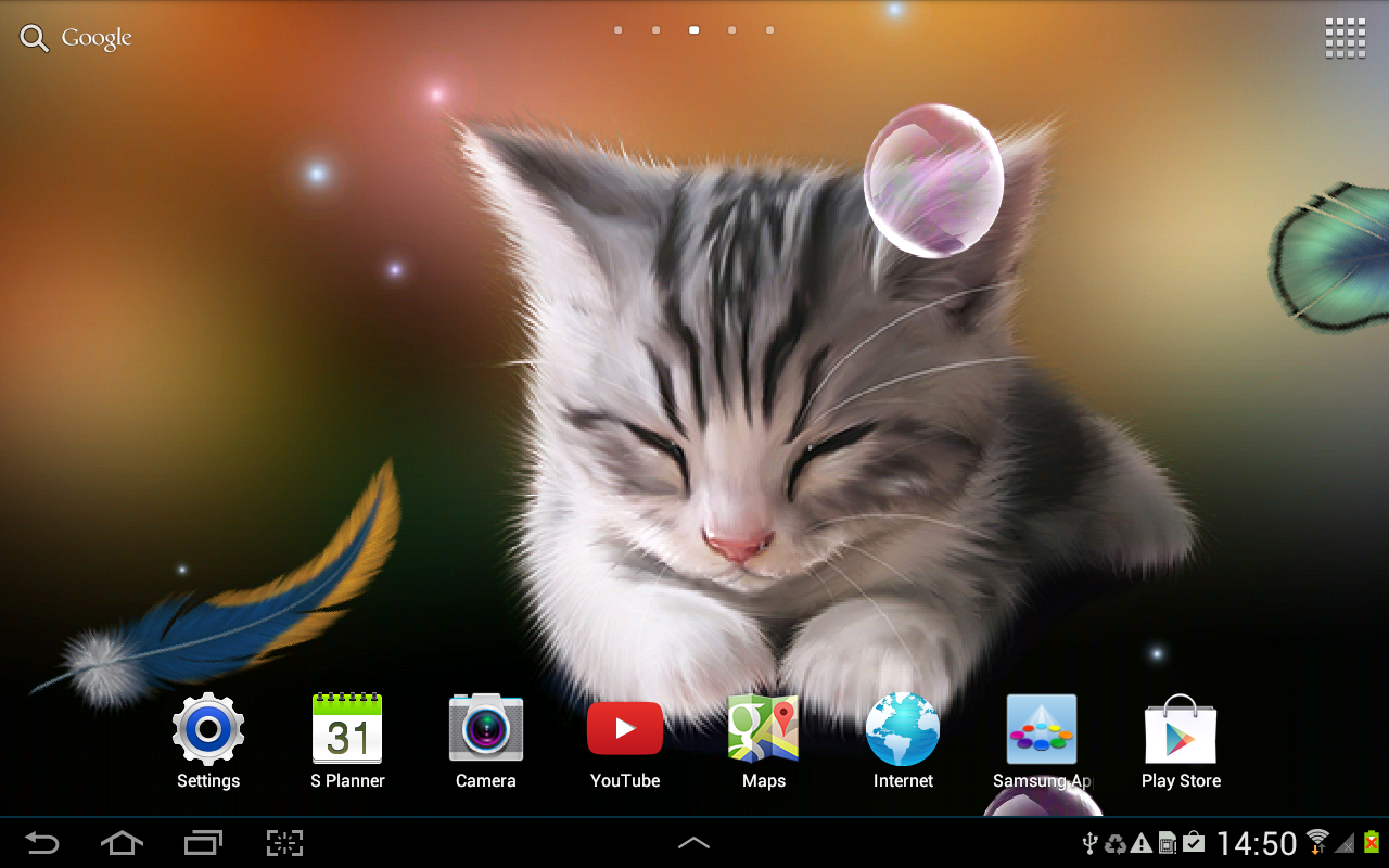 Cute Cat Wallpapers for All Devices: Brighten Your Screen