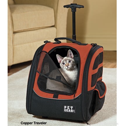 Top Cat Backpacks for Safe, Comfortable Outdoor Adventures