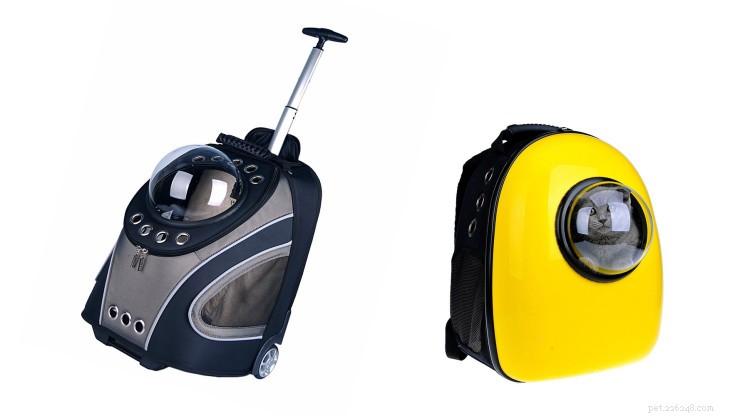 Top Cat Backpacks for Safe, Comfortable Outdoor Adventures