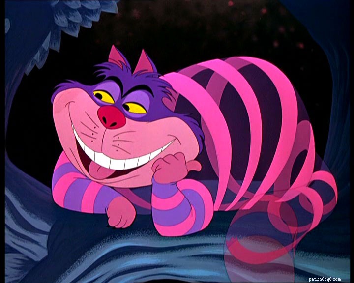 Insightful Cheshire Cat Quotes from Lewis Carroll’s  Alice in Wonderland 