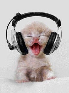 Cat Ear Headphones: Stylish, Comfortable, and Trending
