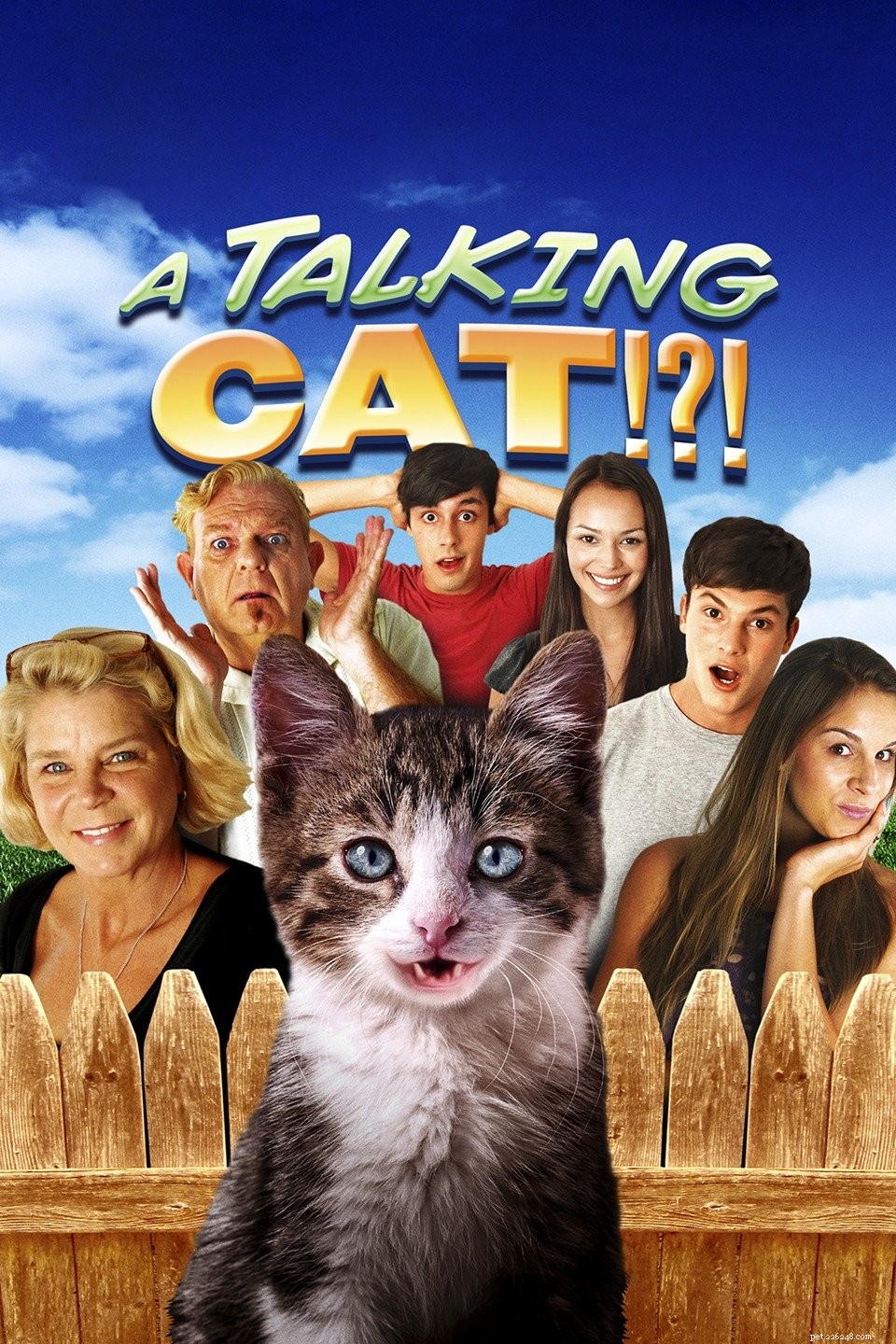 A Talking Cat: How One Feline s Voice Brings Two Hearts Together
