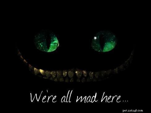 The Secret Behind the Cheshire Cat Smile Explained