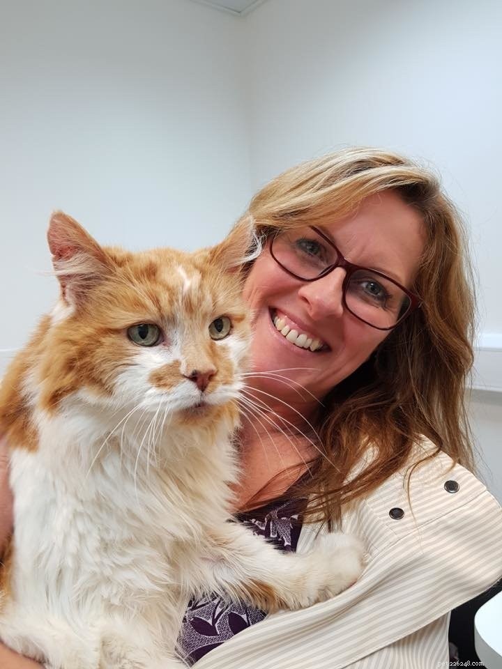 Meet the World’s Oldest Living Cat: A 22-Year-Old Feline from Exeter