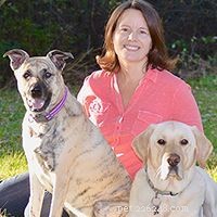 Top Dog Breeds for Families with Children – Vet & Pet Expert Picks