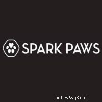 Top Dog Breeds for Families with Children – Vet & Pet Expert Picks