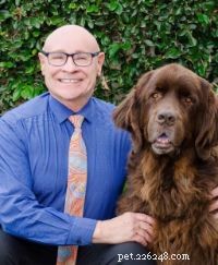 Top Dog Breeds for Families with Children – Vet & Pet Expert Picks