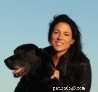 Top Dog Breeds for Families with Children – Vet & Pet Expert Picks