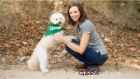 Top Dog Breeds for Families with Children – Vet & Pet Expert Picks