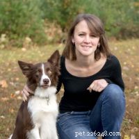 Top Dog Breeds for Families with Children – Vet & Pet Expert Picks
