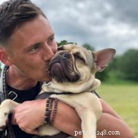 Top Dog Breeds for Families with Children – Vet & Pet Expert Picks