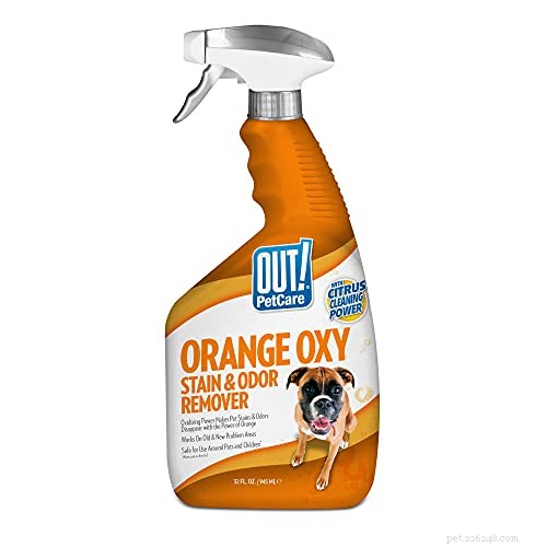 Top Dog Repellent Sprays of 2022 – Expert Reviews & Buying Guide