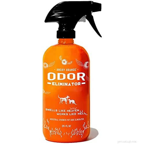 Top Dog Repellent Sprays of 2022 – Expert Reviews & Buying Guide