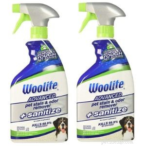 Top Dog Repellent Sprays of 2022 – Expert Reviews & Buying Guide