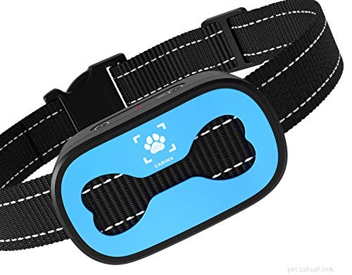 Top Ultrasonic Bark Control Devices & Anti‑Bark Deterrents – 2022 Expert Review