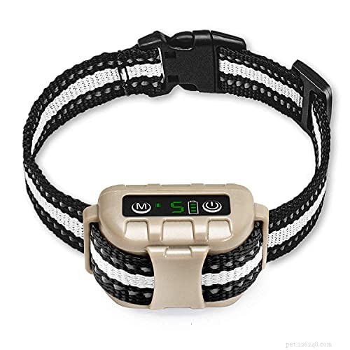 Top Ultrasonic Bark Control Devices & Anti‑Bark Deterrents – 2022 Expert Review